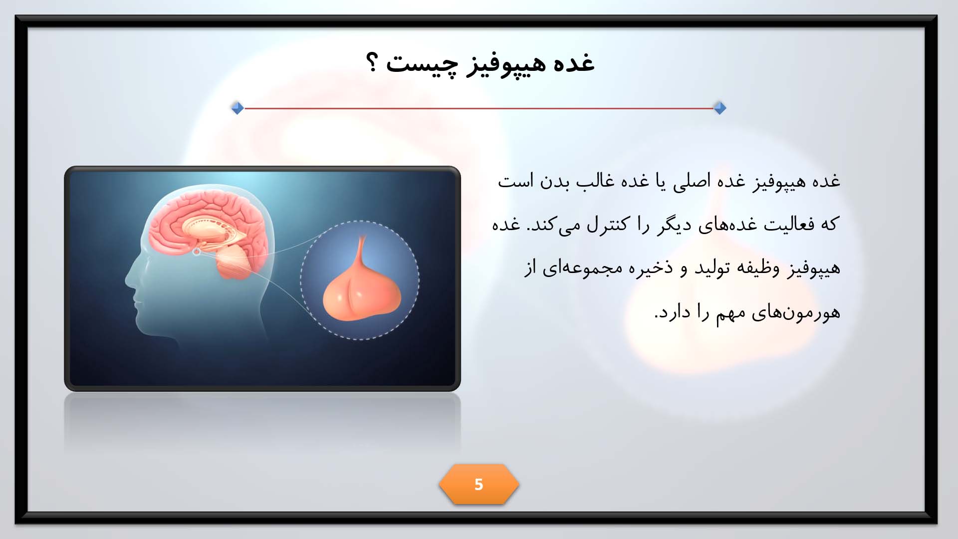 پاورپوینت در مورد غده هیپوفیز و عملکرد آن 